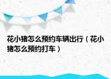 花小猪怎么预约车辆出行（花小猪怎么预约打车）