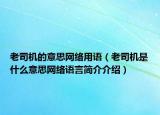 老司机的意思网络用语（老司机是什么意思网络语言简介介绍）