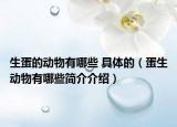 生蛋的动物有哪些 具体的（蛋生动物有哪些简介介绍）