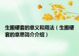 生搬硬套的意义和用法（生搬硬套的意思简介介绍）