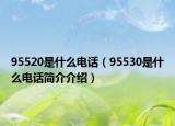 95520是什么电话（95530是什么电话简介介绍）