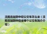 沈阳北站到中街公交车怎么坐（沈阳北站到中街坐哪个公交车简介介绍）