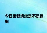 今日更新蚂蚁是不是昆虫