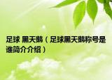 足球 黑天鹅（足球黑天鹅称号是谁简介介绍）