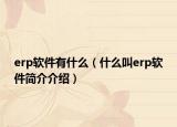 erp软件有什么（什么叫erp软件简介介绍）