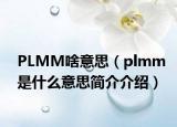 PLMM啥意思（plmm是什么意思简介介绍）
