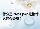 什么是P4P（p4p是指什么简介介绍）
