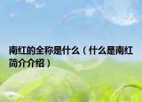 南红的全称是什么（什么是南红简介介绍）