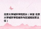 北京大学城环学院院长（林坚 北京大学城环学院城市与区域规划系主任）