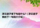 浮云游子意下句是什么?（浮云游子意的下一句简介介绍）