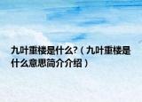 九叶重楼是什么?（九叶重楼是什么意思简介介绍）
