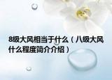 8级大风相当于什么（八级大风什么程度简介介绍）