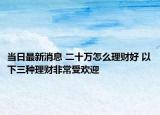 当日最新消息 二十万怎么理财好 以下三种理财非常受欢迎