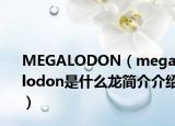 MEGALODON（megalodon是什么龙简介介绍）