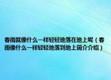 春雨就像什么一样轻轻地落在地上呢（春雨像什么一样轻轻地落到地上简介介绍）