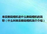单反数码相机是什么数码相机的简称（什么叫单反数码相机简介介绍）