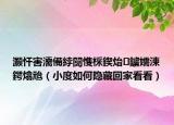 灏忓害濡備綍闅愯棌鍥炲鐪嬬湅鍔熻兘（小度如何隐藏回家看看）