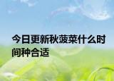 今日更新秋菠菜什么时间种合适