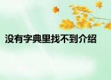 没有字典里找不到介绍