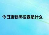 今日更新黑松露是什么