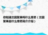 你知道兰因絮果吗什么意思（兰因絮果是什么意思简介介绍）