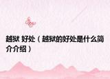 越狱 好处（越狱的好处是什么简介介绍）