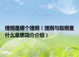 提纲是哪个提纲（提纲与题纲是什么意思简介介绍）