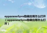 opporeno5pro隐藏应用怎么打开（opporeno5pro隐藏应用怎么打开）