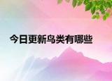 今日更新鸟类有哪些