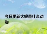 今日更新大鲵是什么动物