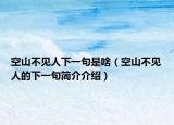 空山不见人下一句是啥（空山不见人的下一句简介介绍）