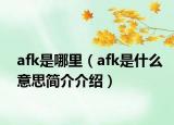 afk是哪里（afk是什么意思简介介绍）