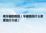 有车辙的路段（车辙路段什么意思简介介绍）