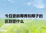 今日更新椰青和椰子的区别是什么