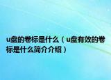 u盘的卷标是什么（u盘有效的卷标是什么简介介绍）
