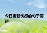 今日更新伤感的句子简短