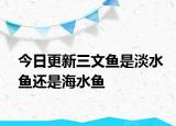 今日更新三文鱼是淡水鱼还是海水鱼