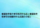 春夏秋冬每个季节各开什么花（春夏秋冬各季节分别都开什么花简介介绍）