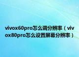 vivox60pro怎么调分辨率（vivox80pro怎么设置屏幕分辨率）