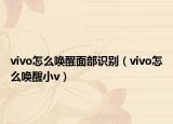 vivo怎么唤醒面部识别（vivo怎么唤醒小v）