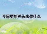 今日更新鸡头米是什么