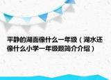 平静的湖面像什么一年级（湖水还像什么小学一年级题简介介绍）