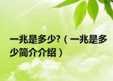 一兆是多少?（一兆是多少简介介绍）