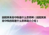 因释其耒而守株是什么意思啊（因释其耒而守株的释是什么意思简介介绍）