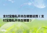 支付宝隐私开关在哪里设置（支付宝隐私开关在哪里）