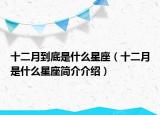 十二月到底是什么星座（十二月是什么星座简介介绍）