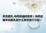 羊羔跪乳,乌鸦反哺啥意思（乌鸦反哺羊羔跪乳是什么意思简介介绍）
