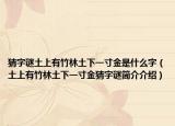 猜字谜土上有竹林土下一寸金是什么字（土上有竹林土下一寸金猜字谜简介介绍）