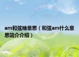am和弦啥意思（和弦am什么意思简介介绍）