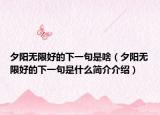 夕阳无限好的下一句是啥（夕阳无限好的下一句是什么简介介绍）